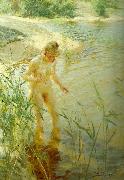 reflexer Anders Zorn